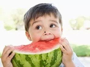 吃瓜无奈图片图文,揭秘网络热议背后的真相与反思