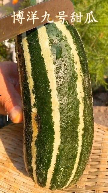 梦到吃瓜没味道,揭秘潜意识中的心理密码