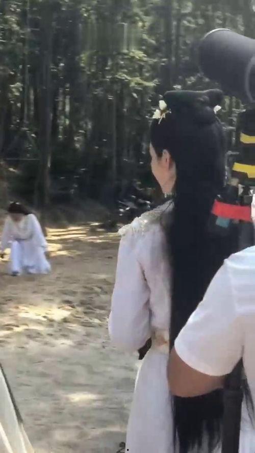 吃瓜跳楼女,揭开网络暴力背后的悲剧真相”