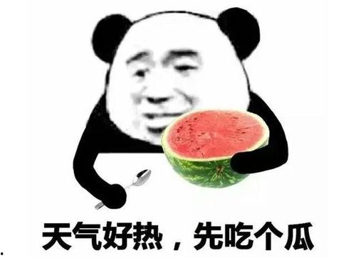 吃瓜表情包标准